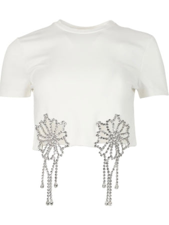 Crystal Crop Top